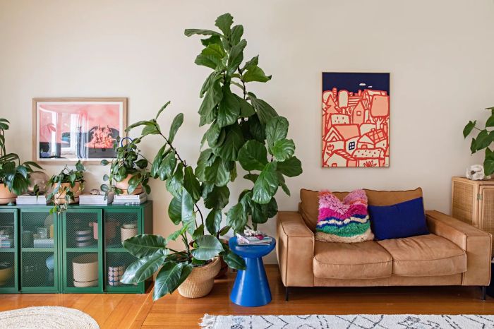 Living rooms decorating beginners